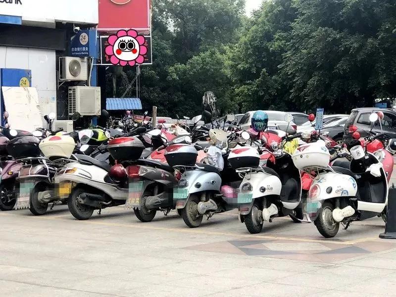 1月9日·邯郸要闻快报：公交51路优化延伸，15路恢复原线路运营；发车祸一人被困邯郸消防紧急救援