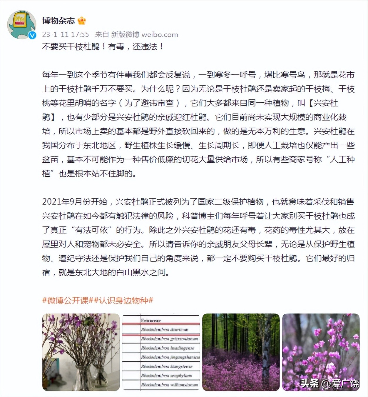 不要买！不要买！不要买！有毒