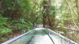 金华适合大学生旅游的地方,金华9月最值得去的地方