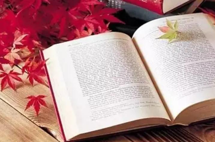 读怎样的书能提高读书效率,读书怎样读好一本书