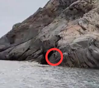 钓鱼一旦上瘾比赌博还可怕,钓鱼会上瘾吗怎么戒掉