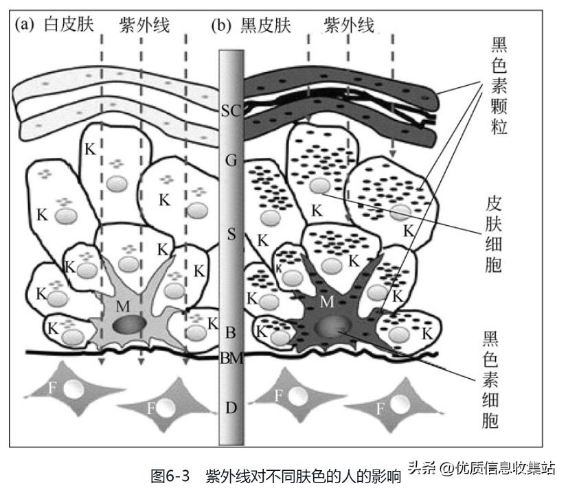 了解大牌化妆品的书,最畅销的化妆品书籍