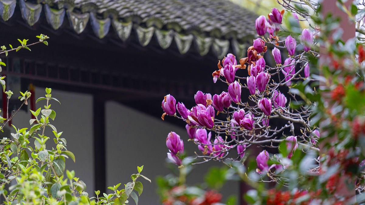 忽听春雨忆江南：三首令人心生美好的春雨小诗，你值得一读