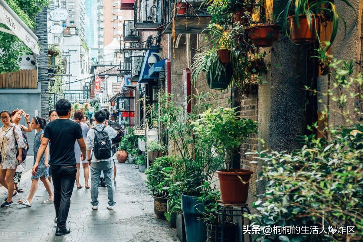 上海周边一天两夜旅游攻略,第一次上海一天游最值得去的地方