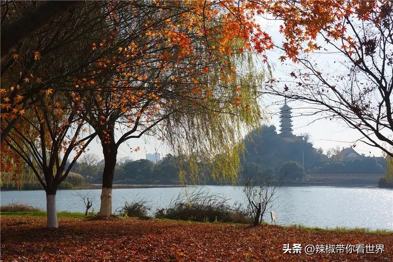 镇江一座美的让人吃醋的城市路牌,镇江一座美的让你吃醋的城市