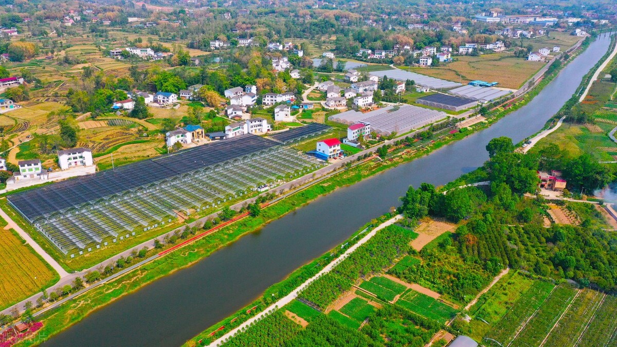 生态农业做什么最赚钱,生态农业前景如何