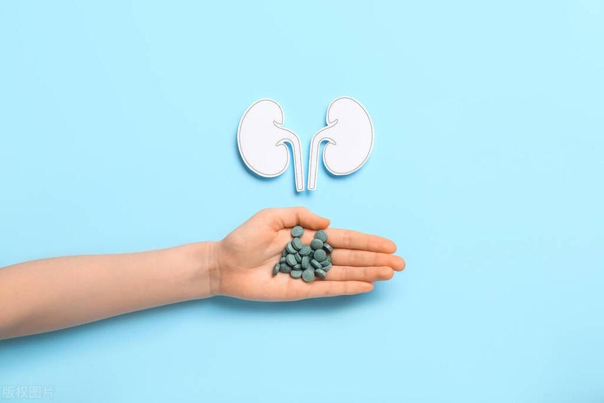 中国长寿地区老年人血尿酸水平与慢性肾脏病发病风险研究