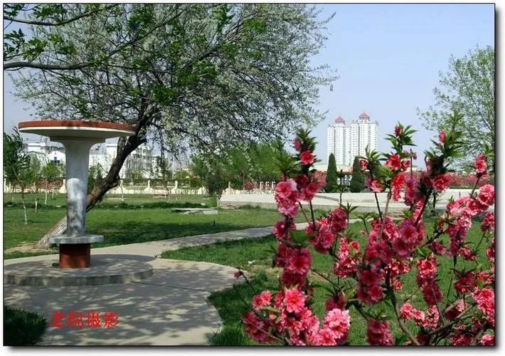 外地学生落户天津政策,学生去天津落户哪些流程