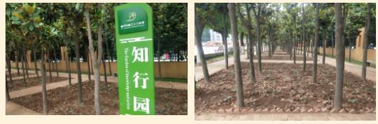 礼赞二十大谱写新篇章,礼赞二十大奋进新征程三年级