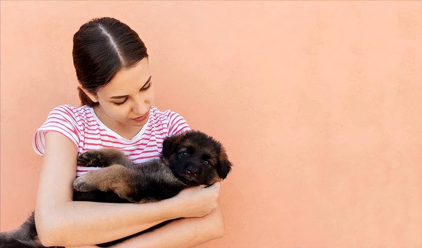 狗狗回家过了7天是不是安全了,为什么狗狗带回家七天不要出门