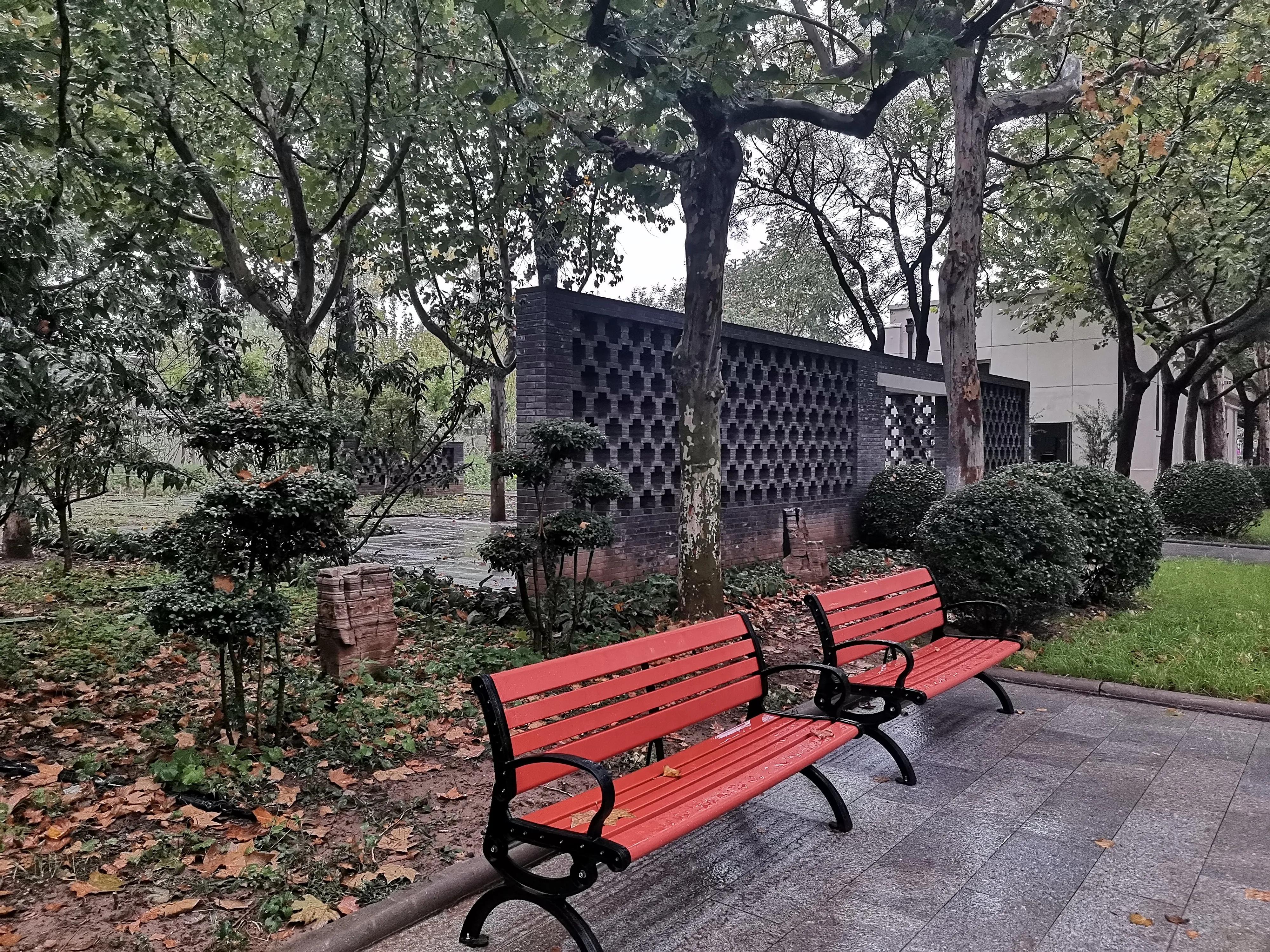 冬季的天津公园景色,秋雨绵绵雾蒙蒙下一句