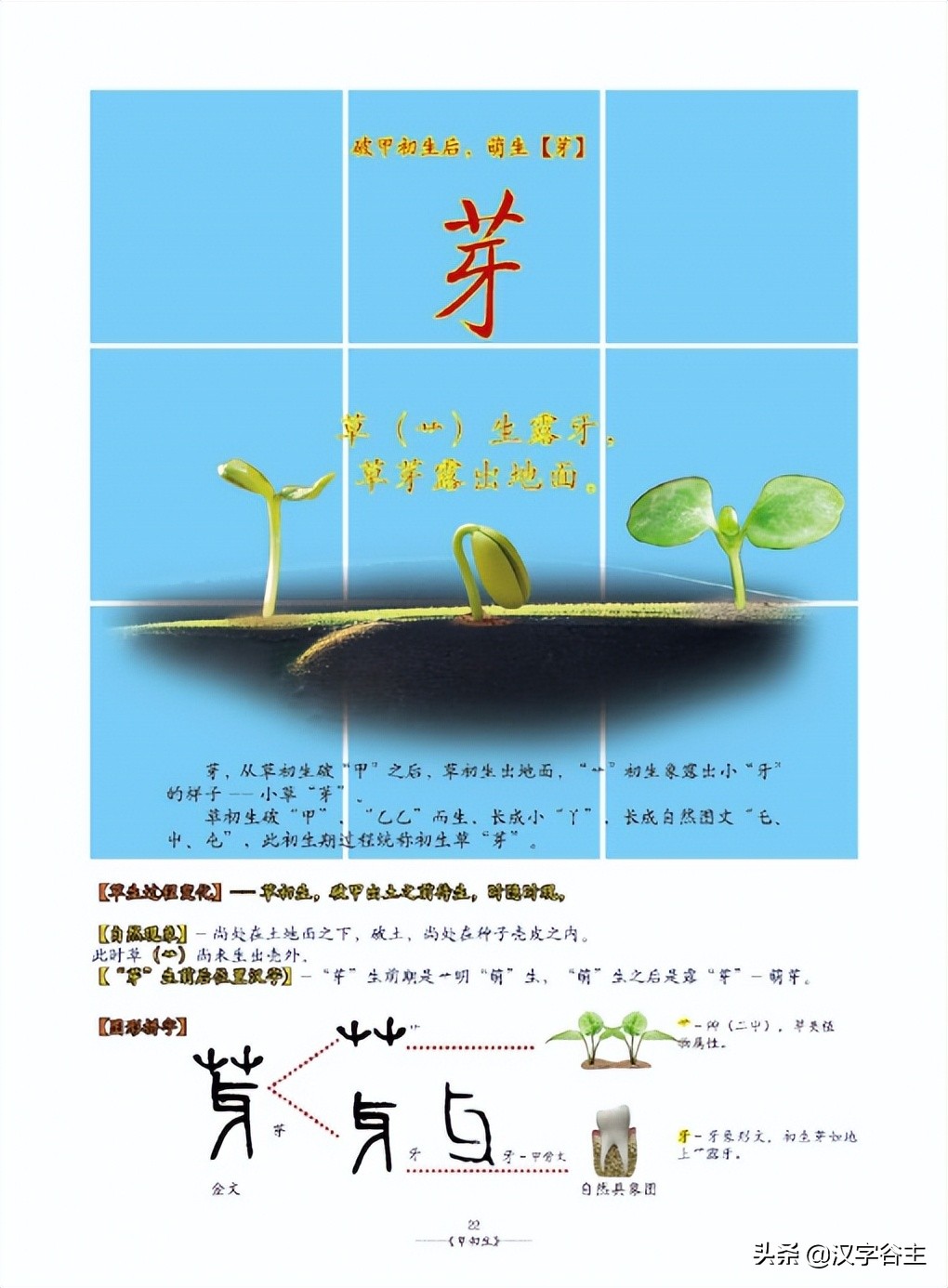 姹夊瓧妞嶇墿,鑽夋湪姹夊瓧