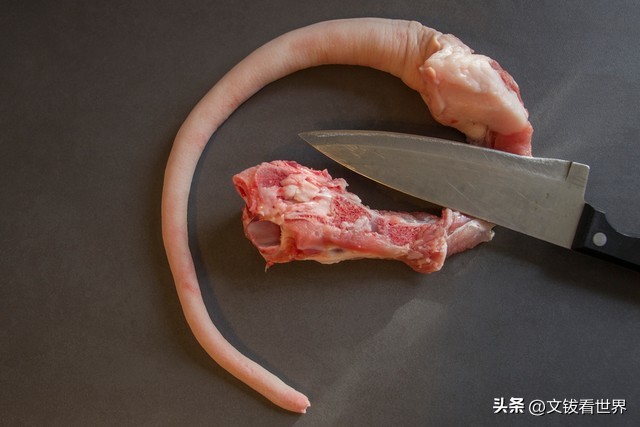 文钹开讲——说说猪尾巴