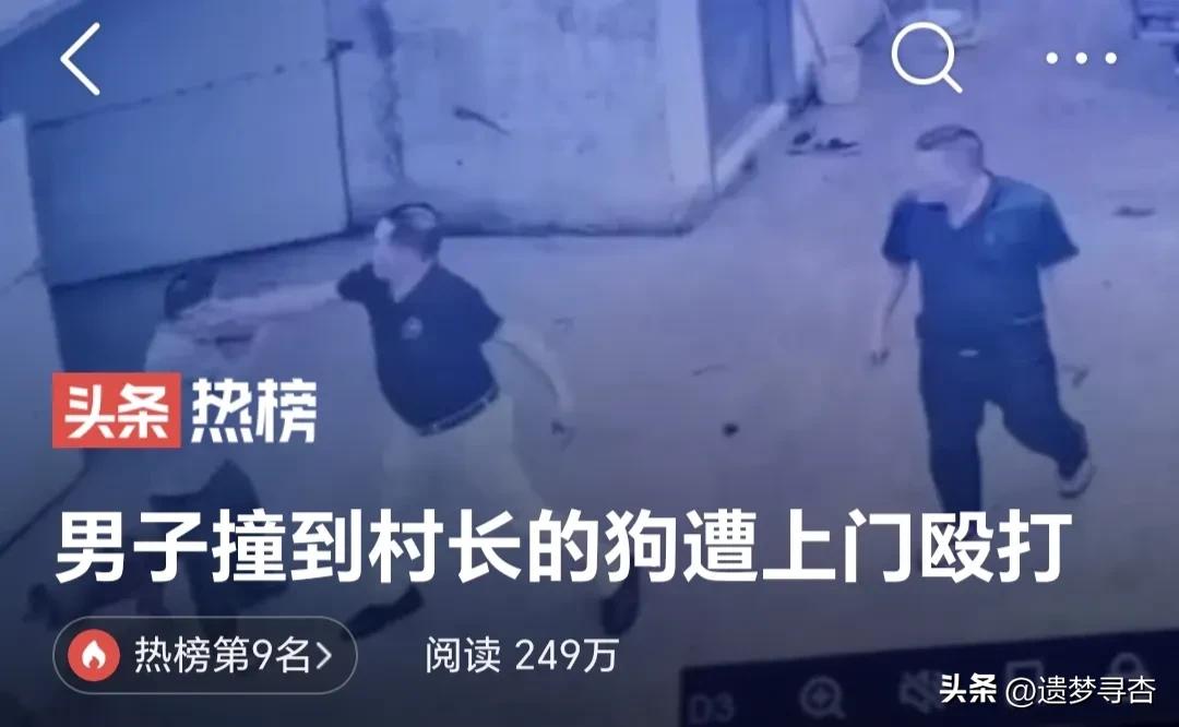 撞到村长的狗被上门殴打最新消息,撞了村长的狗有结果了吗