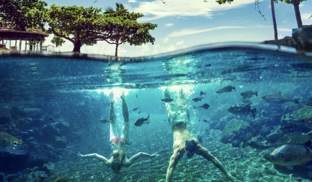 2023免签或落地签自由行国家推荐,免签落地签值得去的国家