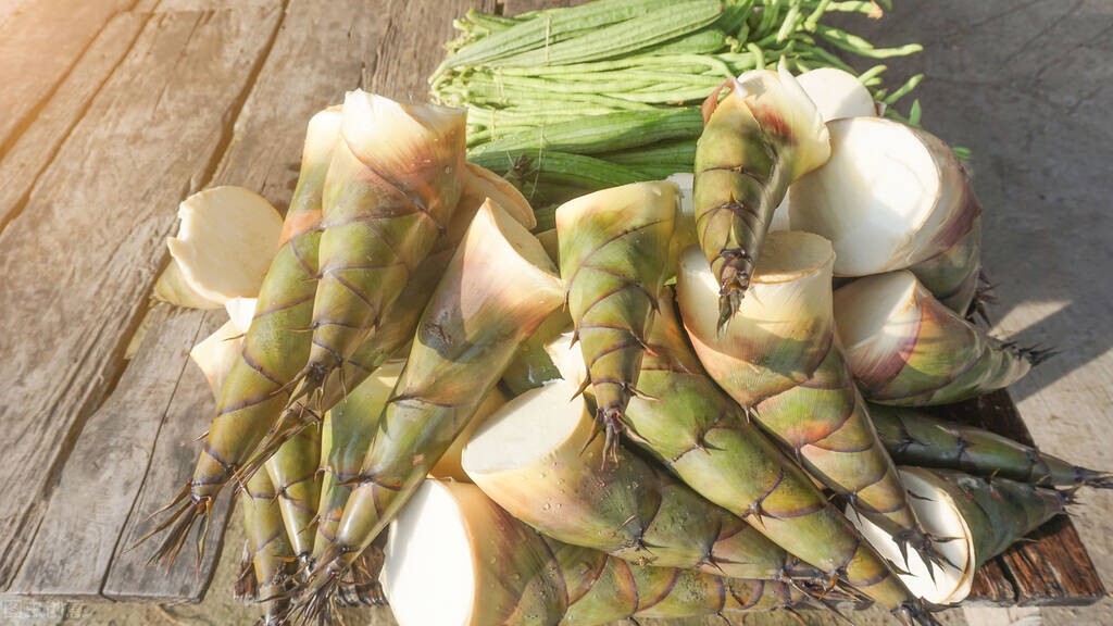 冬笋春笋哪个季节吃最好,吃笋刮油冬笋和春笋差异还真大