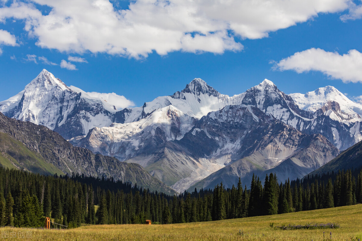 程序教学基本原理,程序教学的基本原则