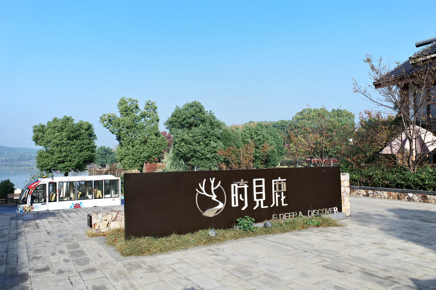 不出武汉赏银杏的地方,武汉好逛的森林公园