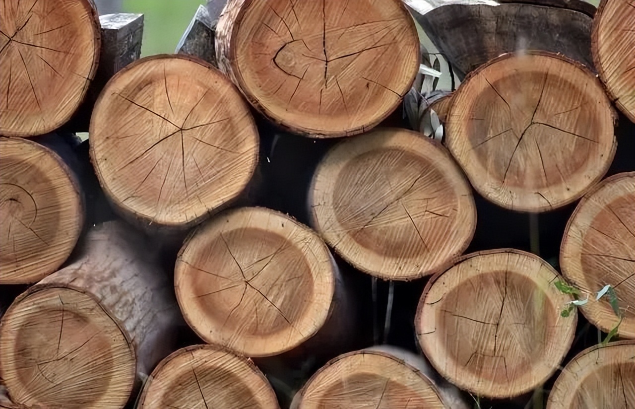 北仑疫情还回得了家吗,北仑疫情出不去了么