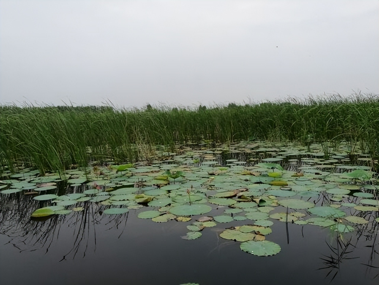 国内宰客最狠的8大景点,十大宰客景点在哪里啊