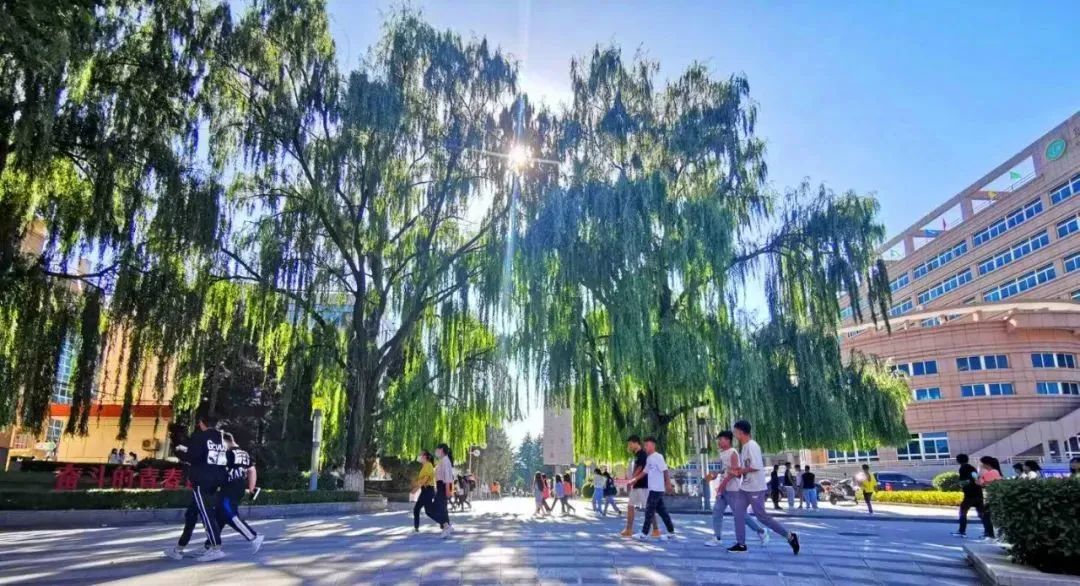 甘肃林业职业技术学院招生处电话,甘肃林业职业技术学院招生办