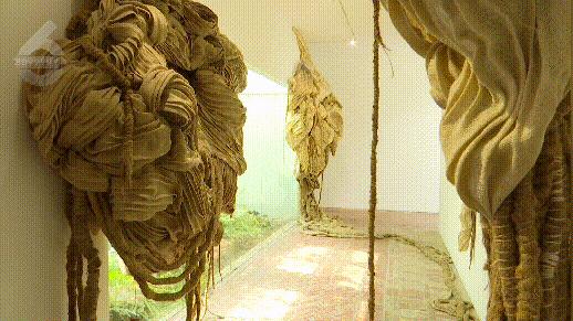 植被覆盖率中国,昆明植被覆盖率有多少