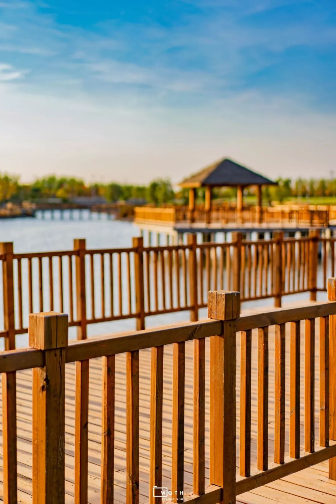 生态城城市公园,规划生态体育公园