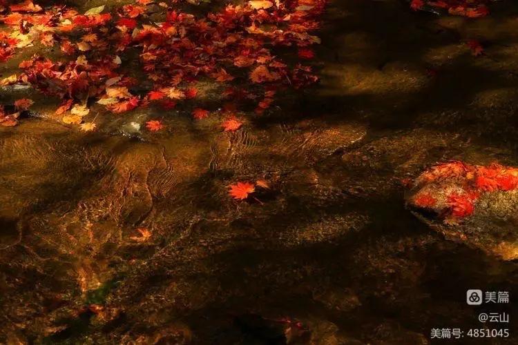 画意风光,画意风光摄影