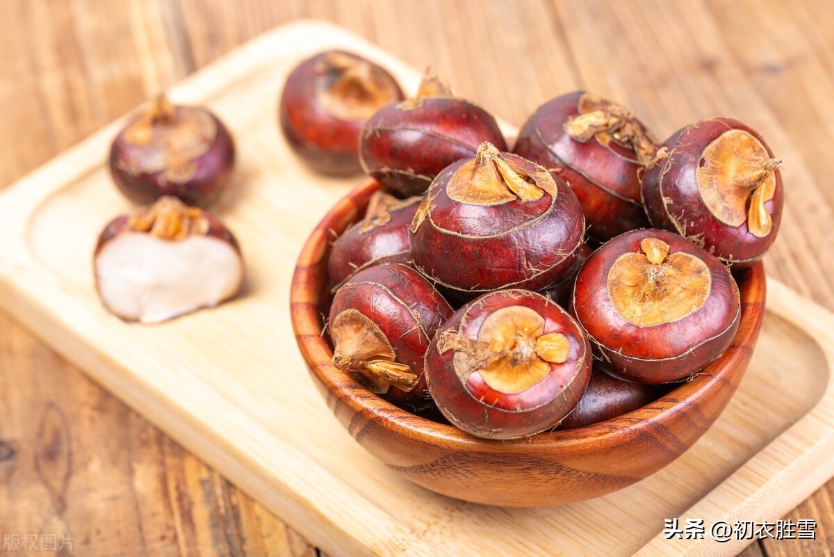 荸荠诗句,荸荠古诗