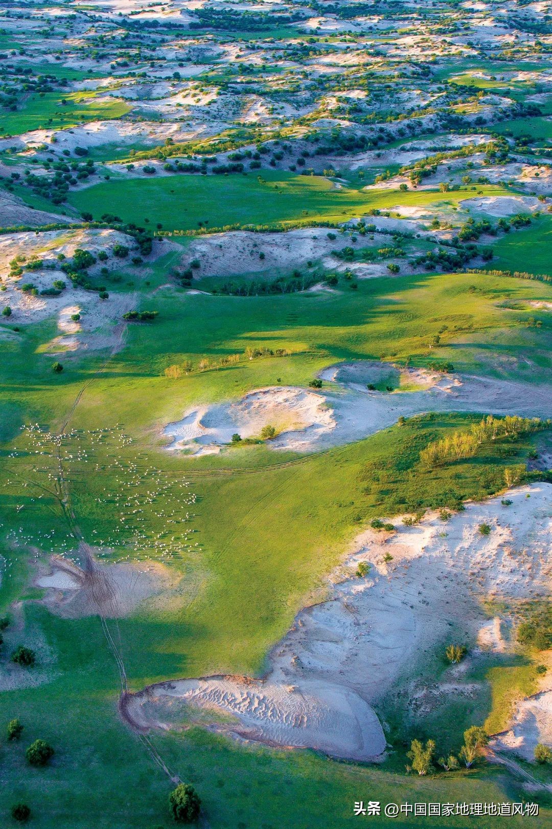 内蒙古东西差异有多大,你以为的内蒙古和现实中的内蒙古