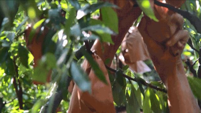 暑假韶关有什么好玩的地方,韶关周边避暑胜地亲子游