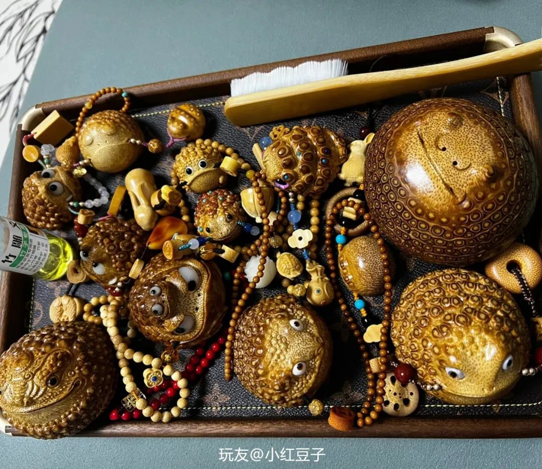 宁可食无肉不可居无竹是指竹子吗,易经说宁可食无肉不可家里无竹子