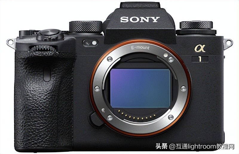 大变焦数码相机拍摄鸟类,最佳风光摄影相机推荐