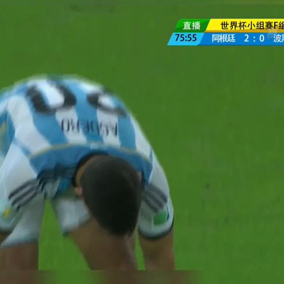 世界杯梅西阿根廷波黑,世界杯阿根廷vs荷兰梅西助攻