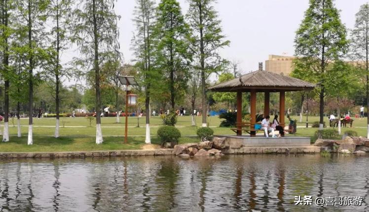 温州龙湾的旅游景点介绍图片,温州龙湾区一日游最佳景点