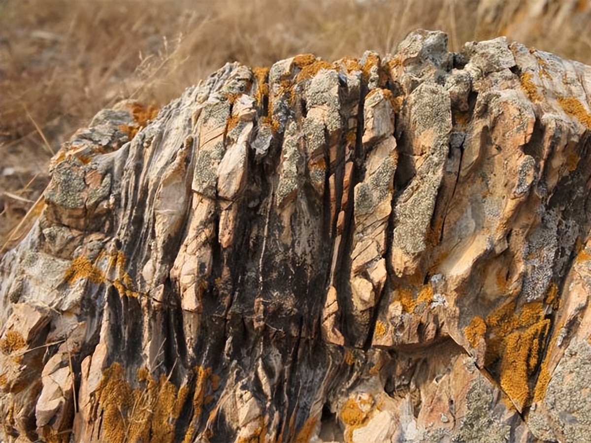 美国靠开采页岩油经济腾飞，中国储量不输美国，为何却不能模仿？