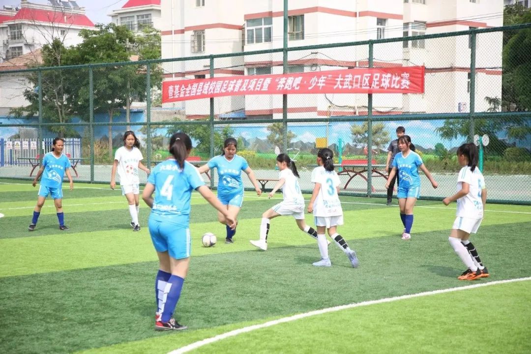 大武口校园足球联赛直播,大武口区校园足球联赛