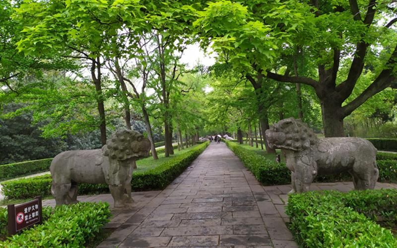 旅游住宿类平台网站排名,旅行住宿app哪个好