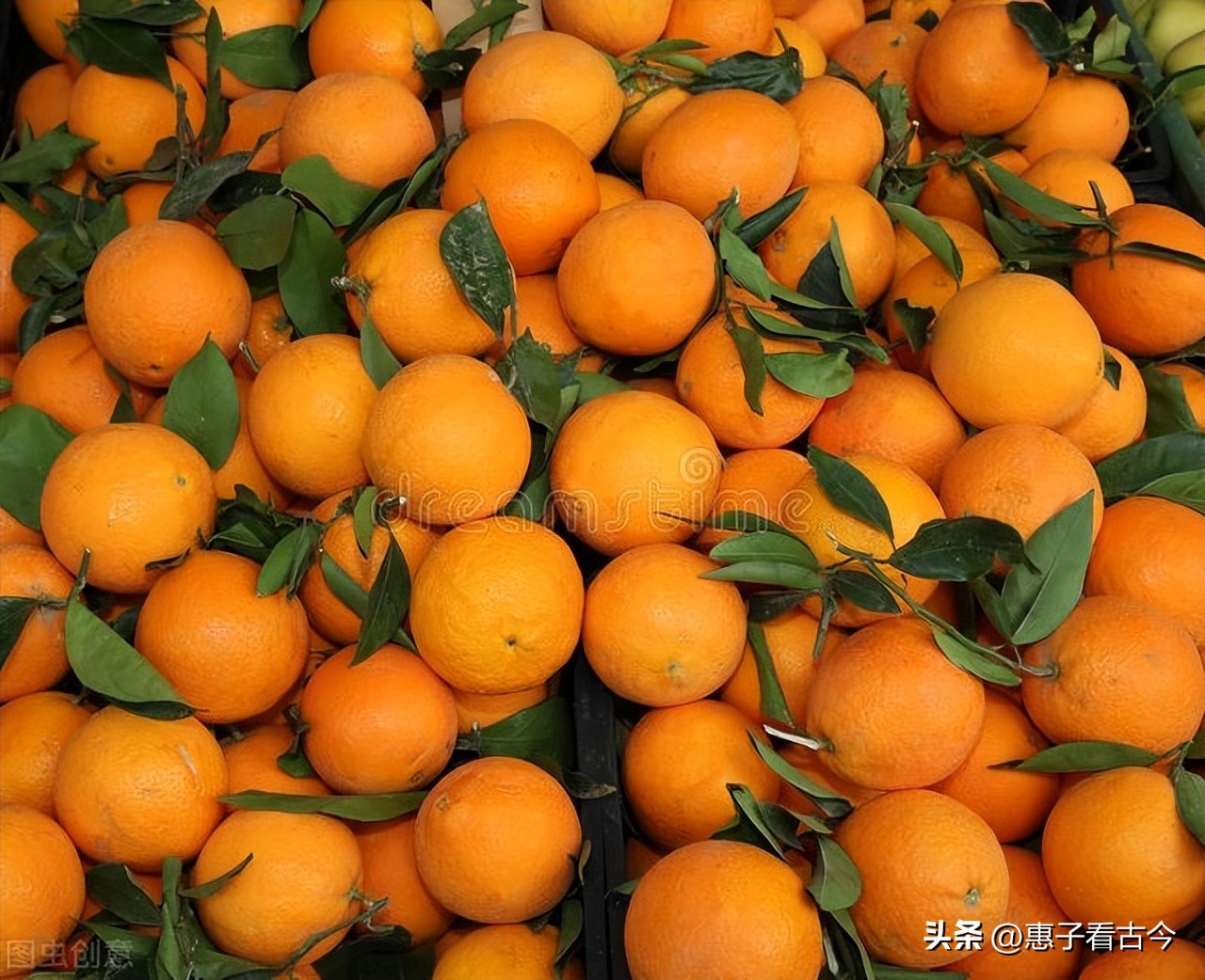 故事:穷秀才海外奇遇,捡到未知宝物,走上人生巅峰