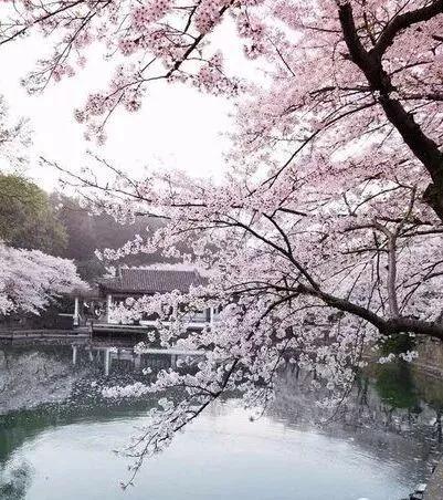 学习心理学，获益匪浅！——我自学心理学的几点重要感悟