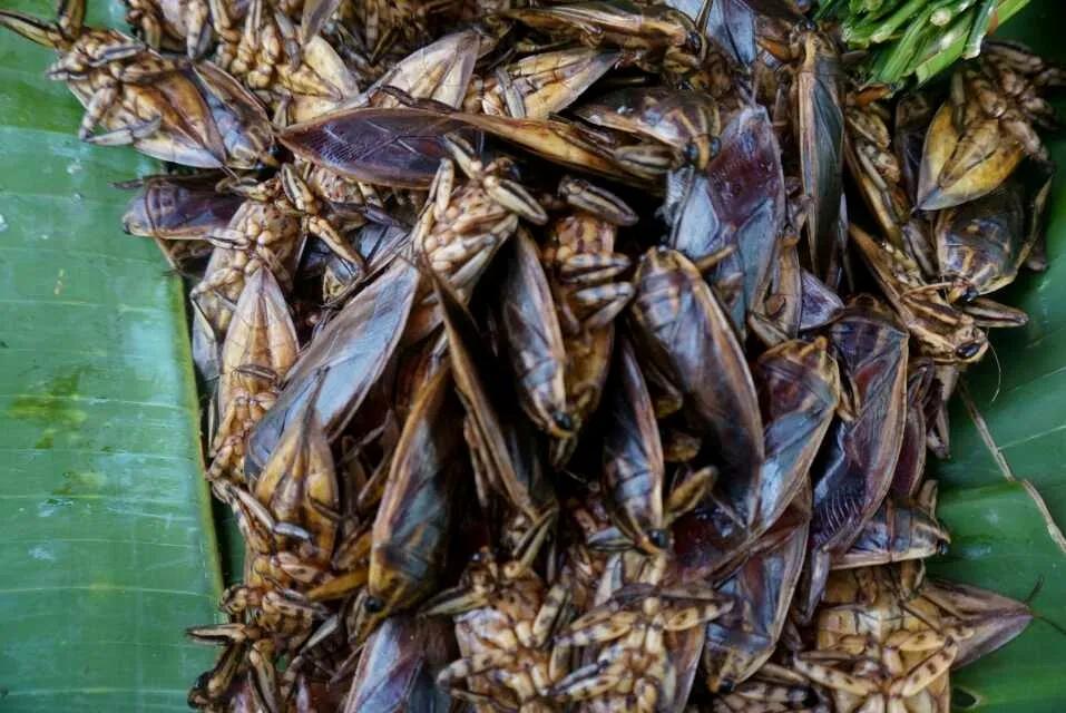 曼谷考山路背包客聚集地,开启4天3晚泰国自由行旅程