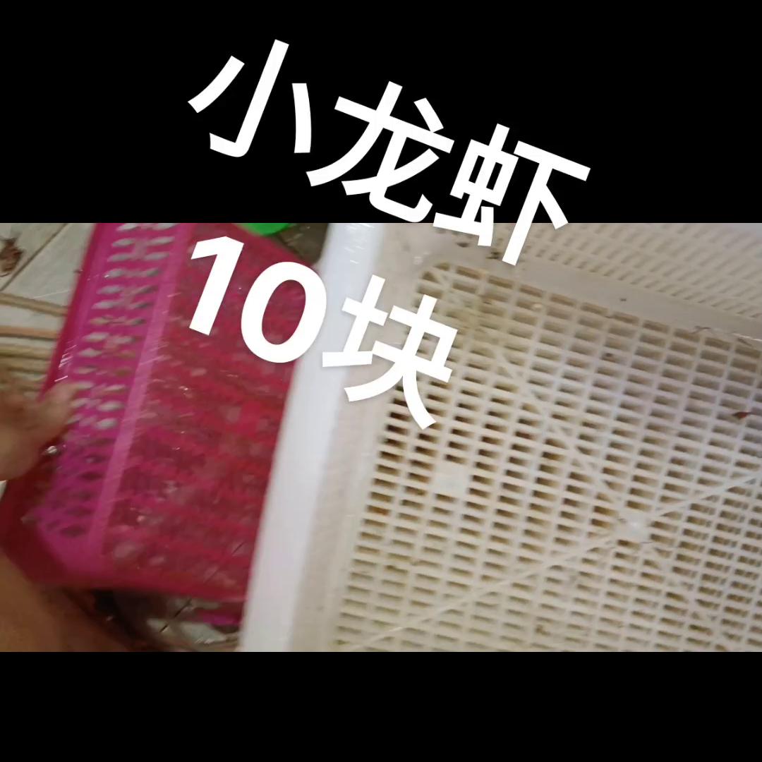 湖北什么季节盛产小龙虾,江苏小龙虾几月份开始上市