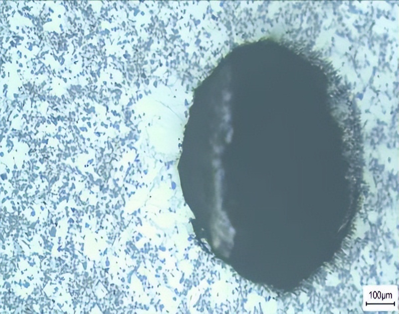 文昌新材徐骏教授：电磁搅拌吸铸技术及其在铝陶复合材料中的应用