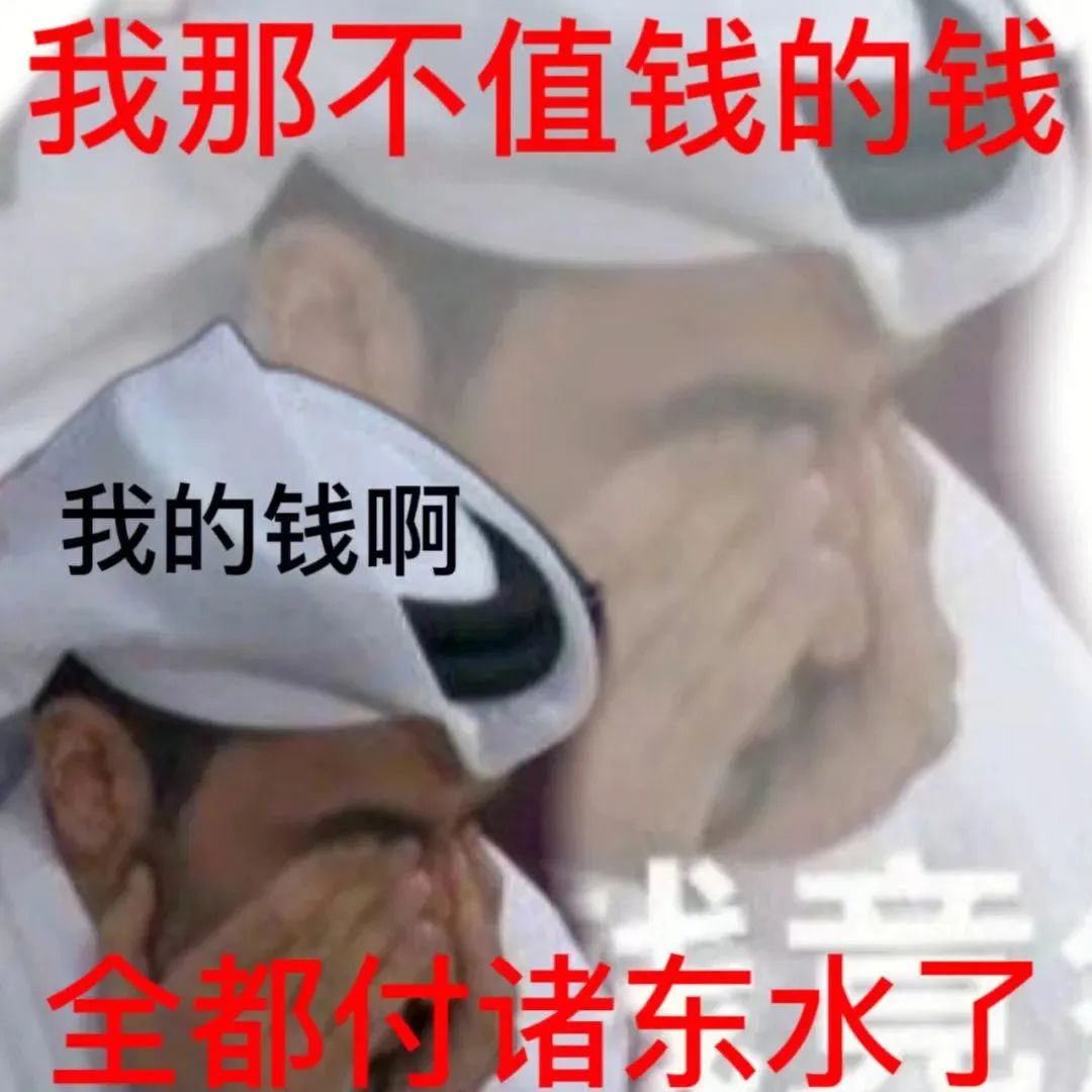 卡塔尔15岁小王子表情包,卡塔尔小王子气出表情包原视频