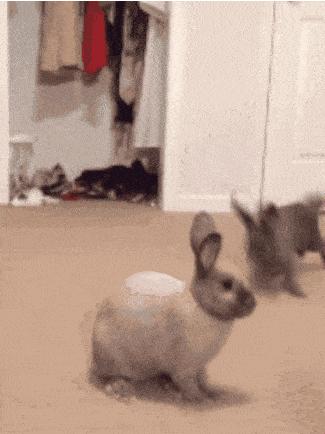 简短沙雕冷笑话,沙雕冷笑话故事