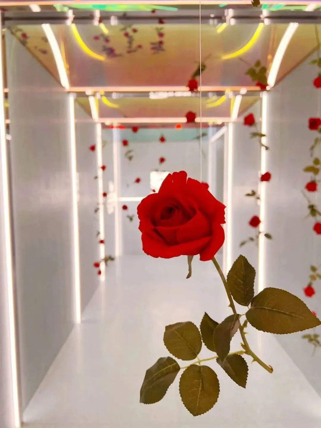 品牌情人节营销案例,情人节最牛的营销方案