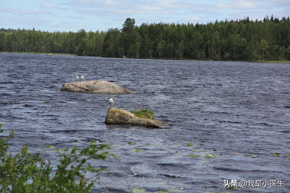 治头痛的知识,头痛的诊疗