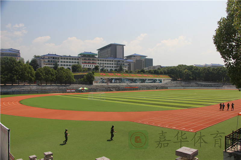 跑道塑胶运动场施工厂家,跑道塑胶厂家