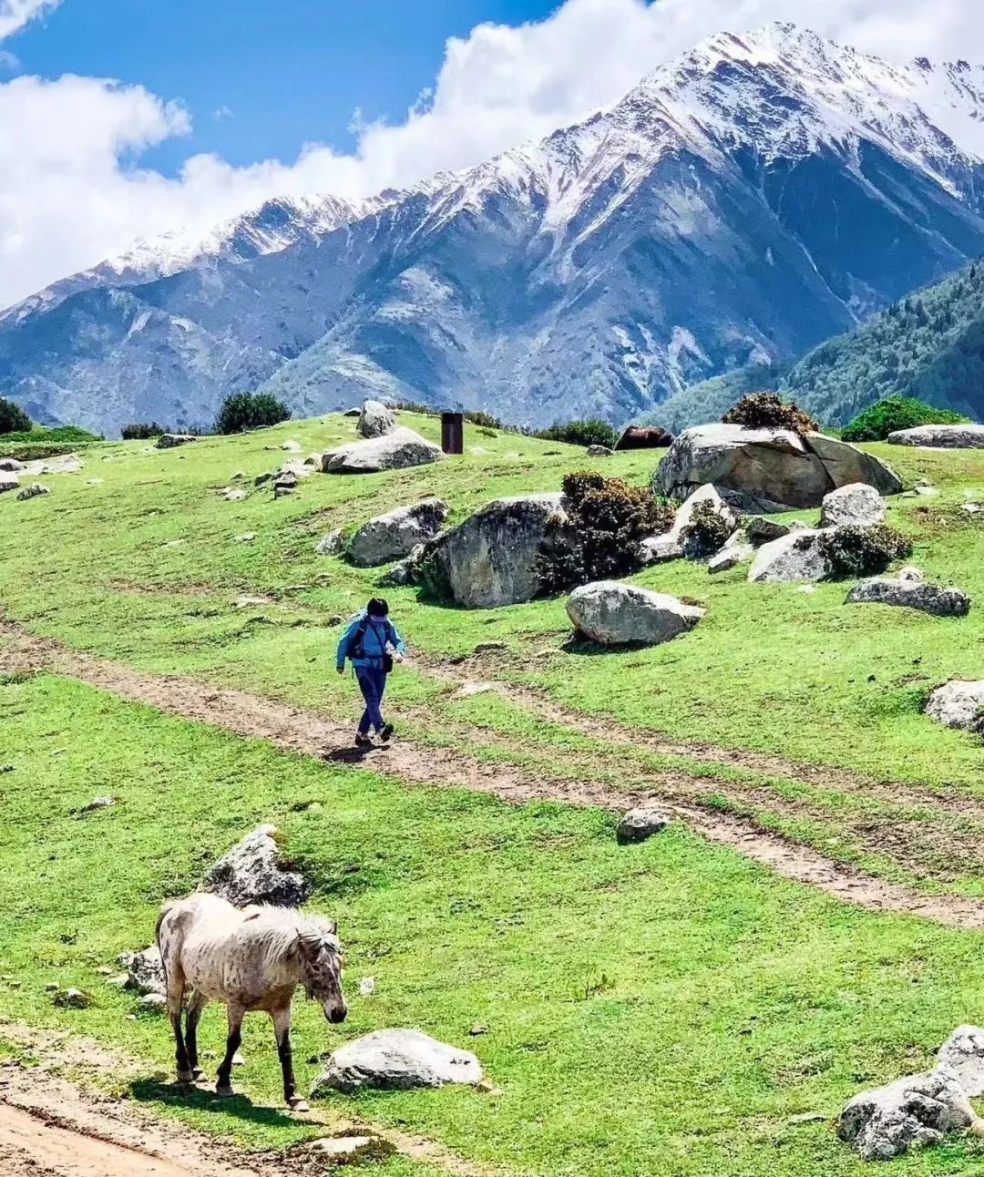 1000多始祖鸟的冲锋衣到底值不值,八千多的冲锋衣