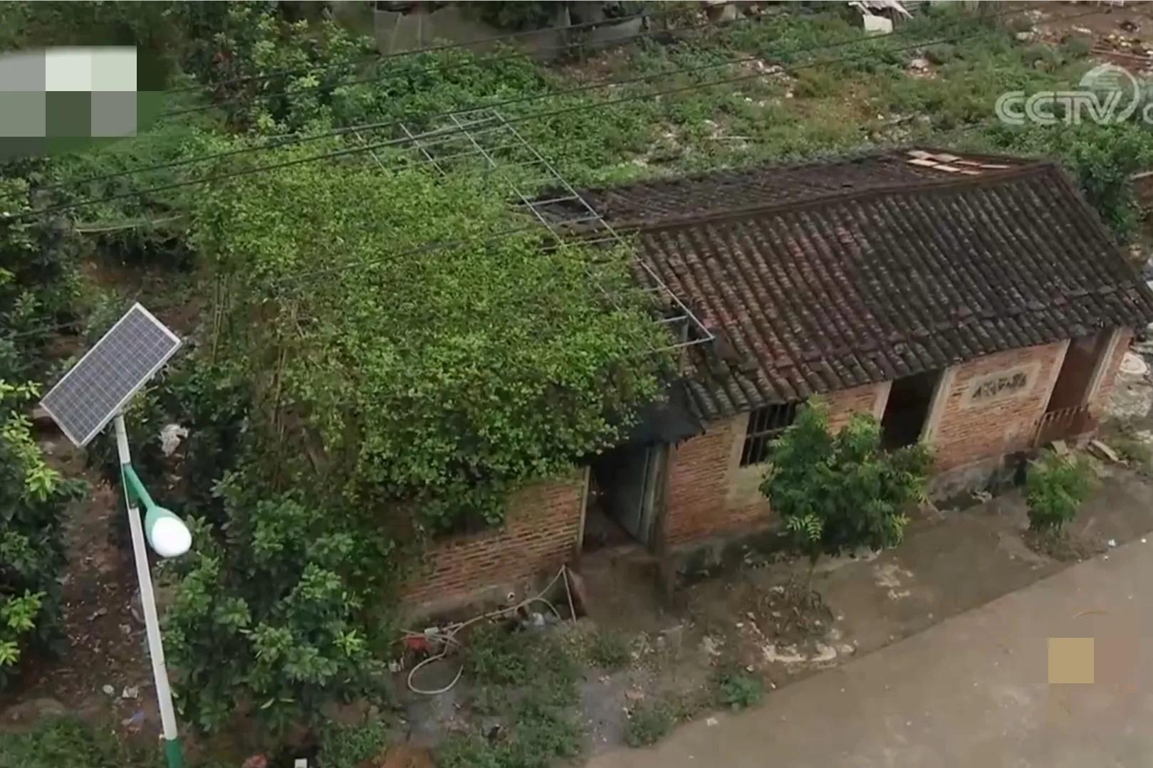 湖南小伙承包五千亩四年赚上千万,90后小伙承包15亩果园